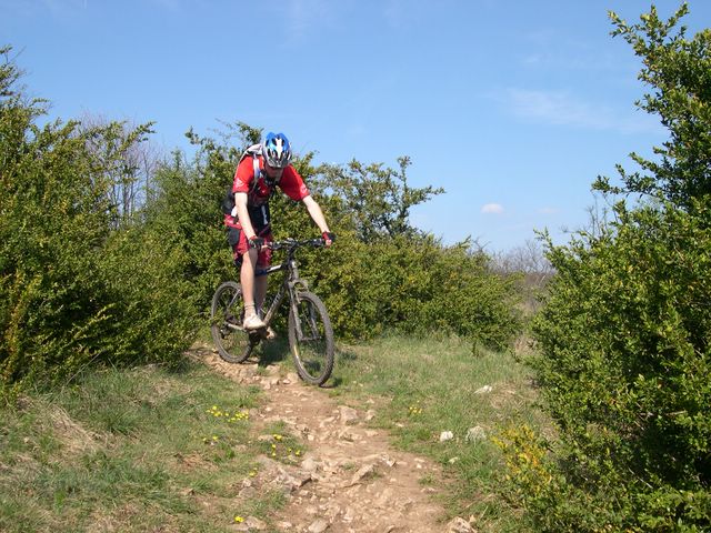 Le GR au dessus de la falaise